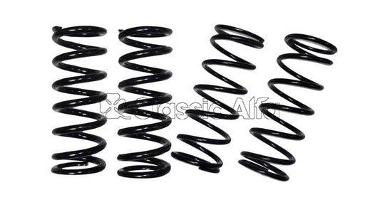 750-093 SET OF 4 LOWERED & UPRATED SPRINGS TO SUIT 750 & 101 SERIES SPRINT & SPIDER