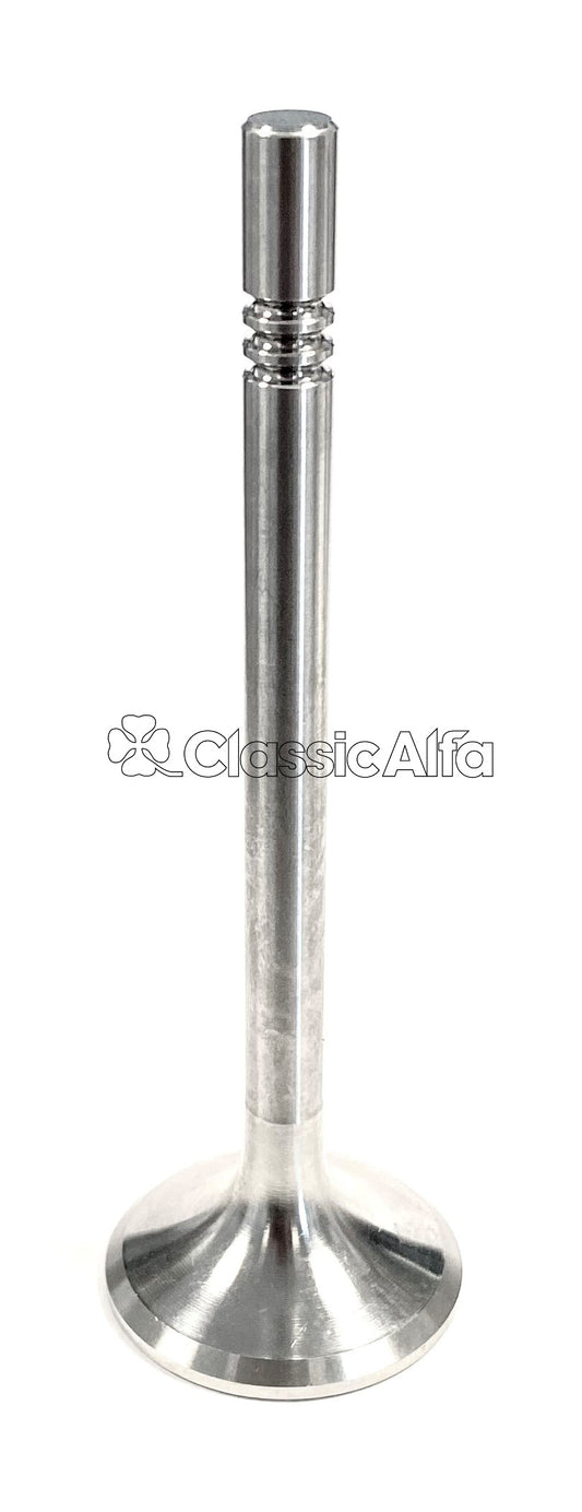 EN311 TWIN SPARK EXHAUST VALVE