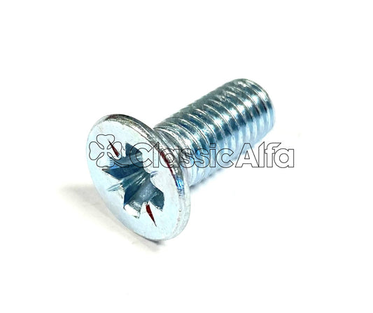 FIX005 - GT DOOR HINGE SCREW - EARLY TYPE