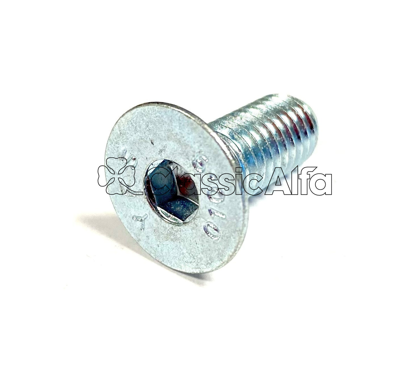 FIX006 - GT DOOR HINGE SCREW - LATE TYPE