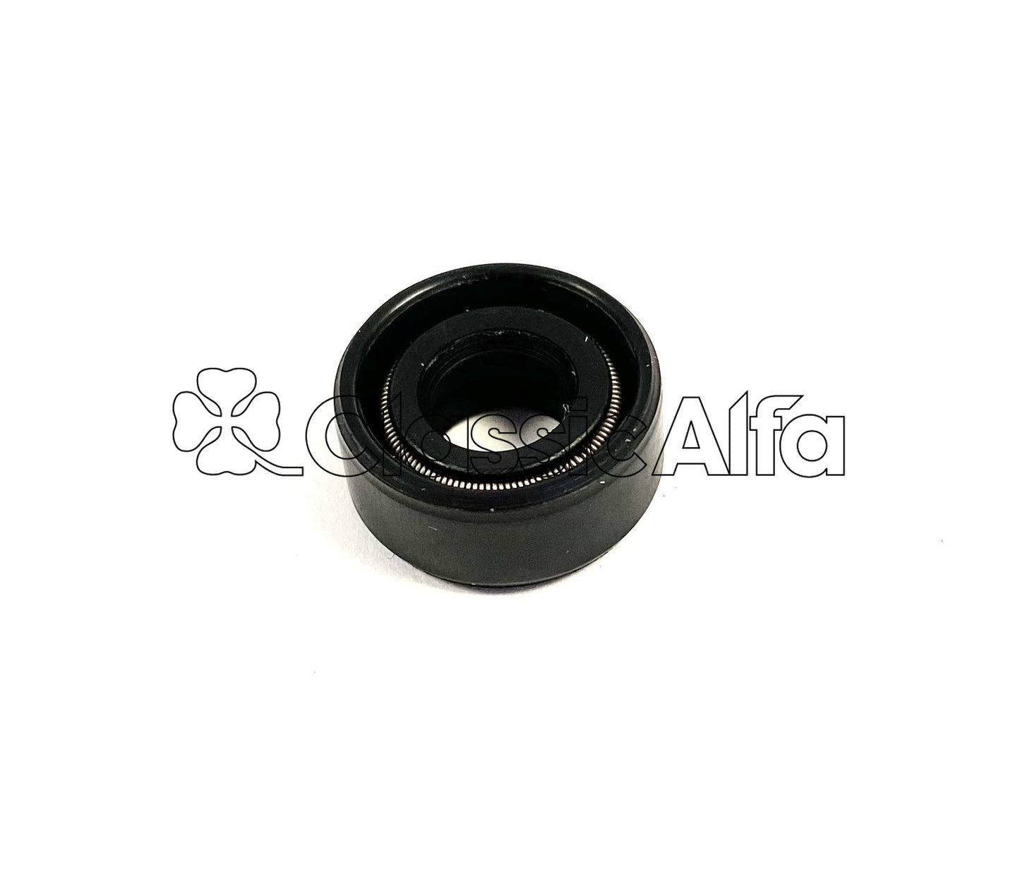 GB066 SPEEDO / TACHO DRIVE OIL SEAL