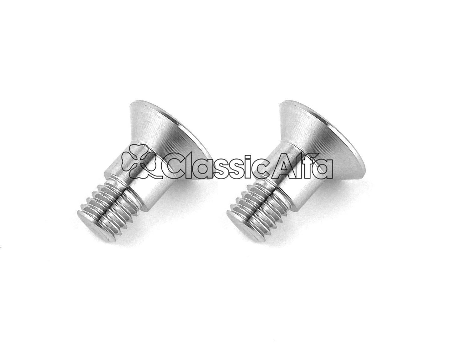 MN173/1 MONTREAL REAR HATCH STRUTS FIXING SCREWS