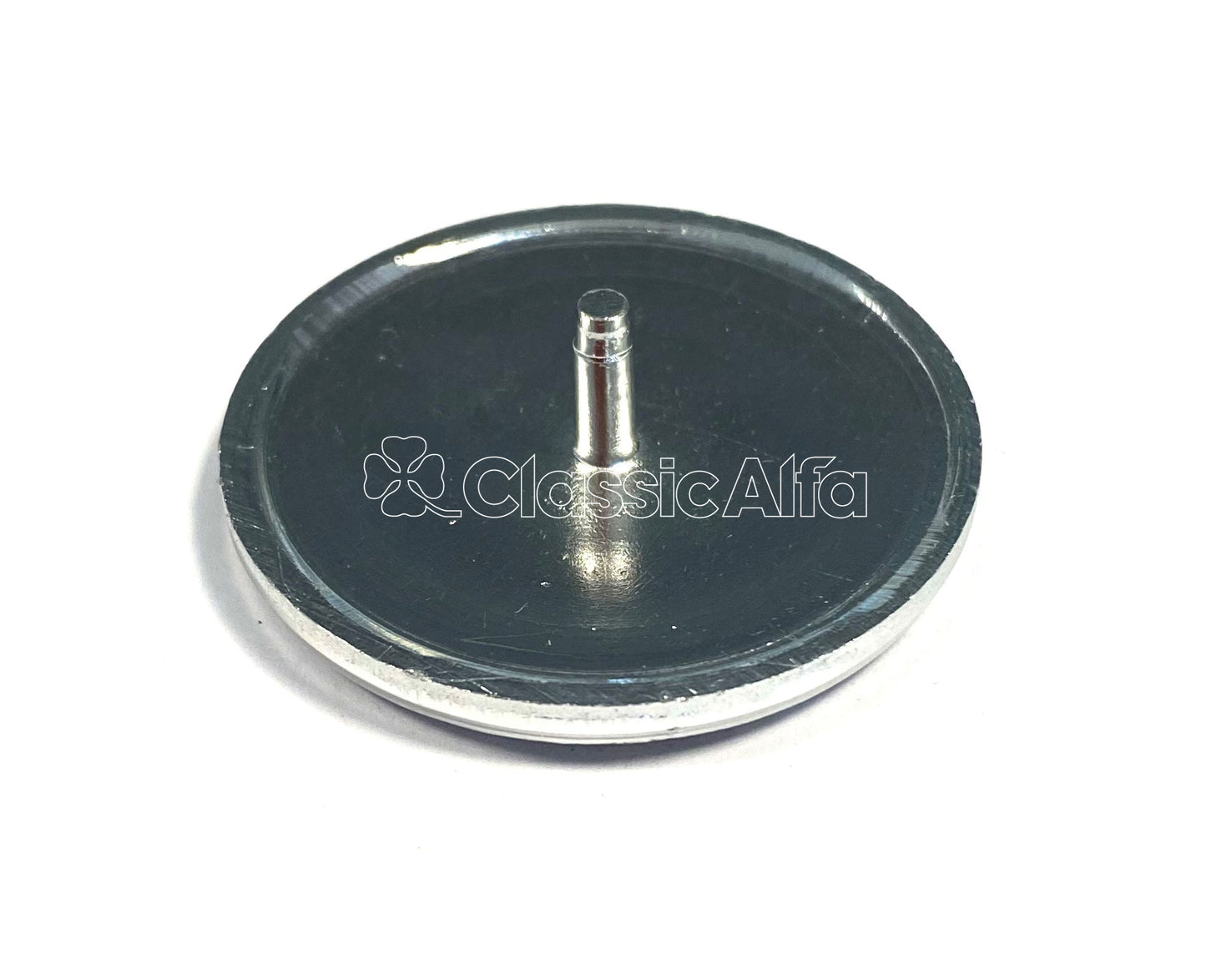 WH001 2000 HUBCAP BADGE