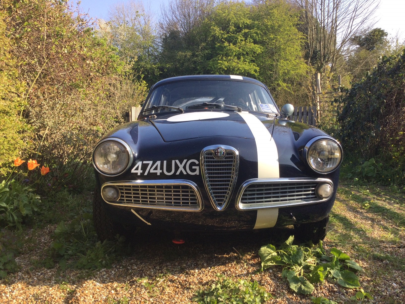1961 GIULIETTA SPRINT VELOCE RACE CAR £32,500
