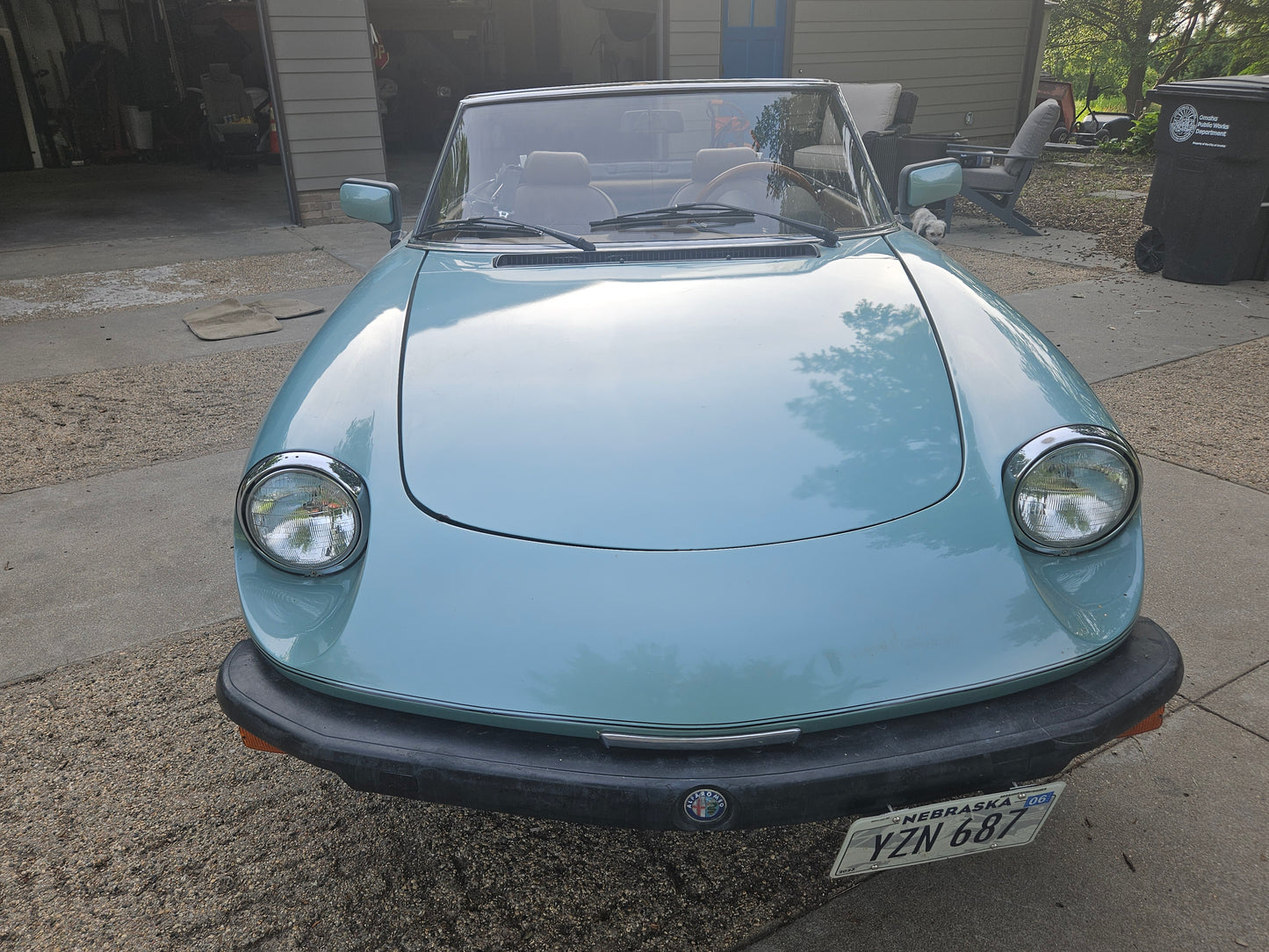 1982 SPIDER VELOCE - $14,000