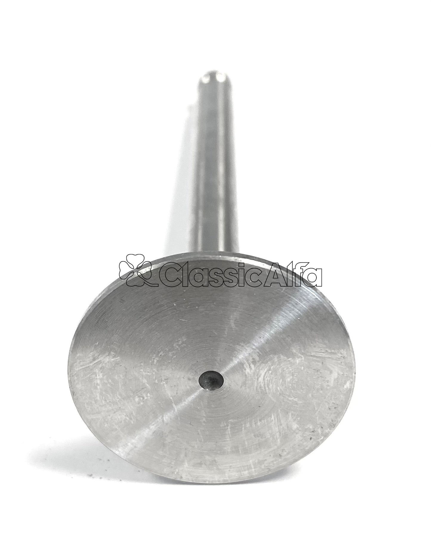 750-010 750 SERIES EXHAUST VALVE