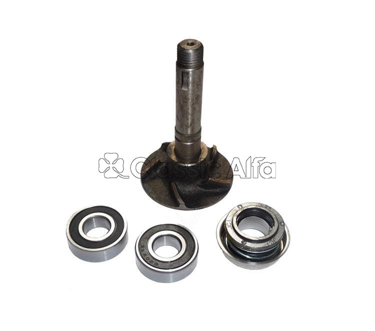 750-026 WATER PUMP REPAIR KIT - 750 & 101 SERIES 1300 ENGINES