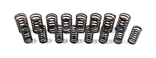 750-062 750 SERIES VALVE SPRING SET