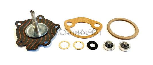 750-721 FUEL PUMP OVERHAUL KIT 750 SERIES
