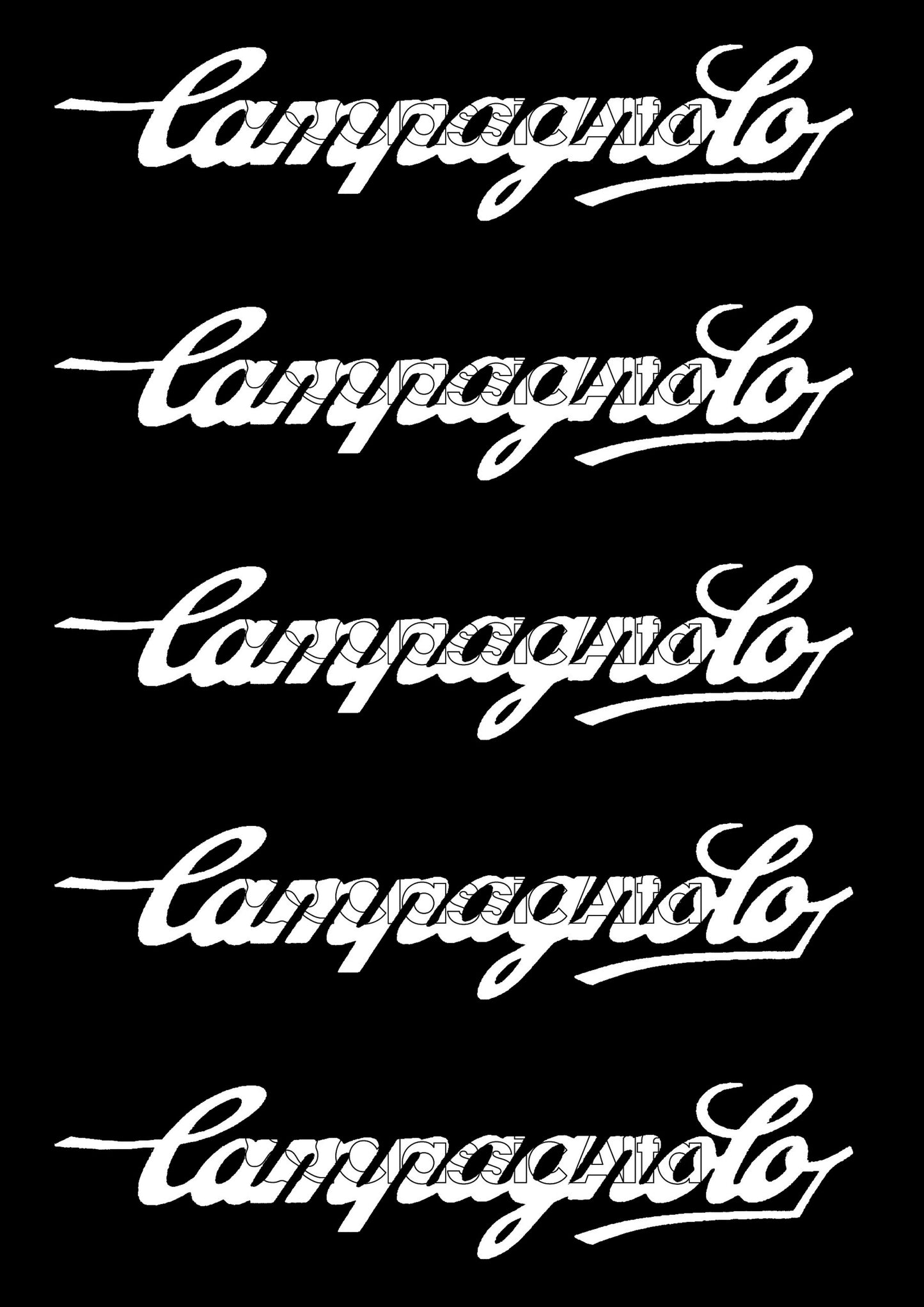 AC322 CAMPAGNOLO SCRIPT STICKERS - SET OF 5