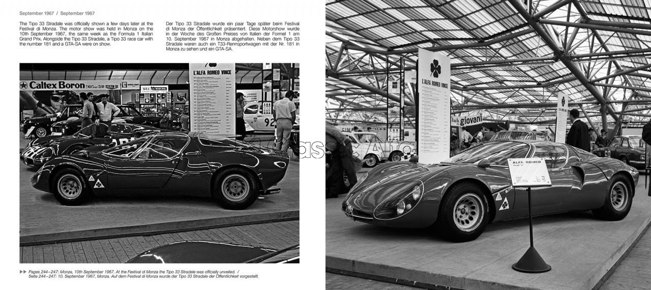 AC616 ALFA ROMEO TIPO 33 / 1967 BY PATRICK DASSE