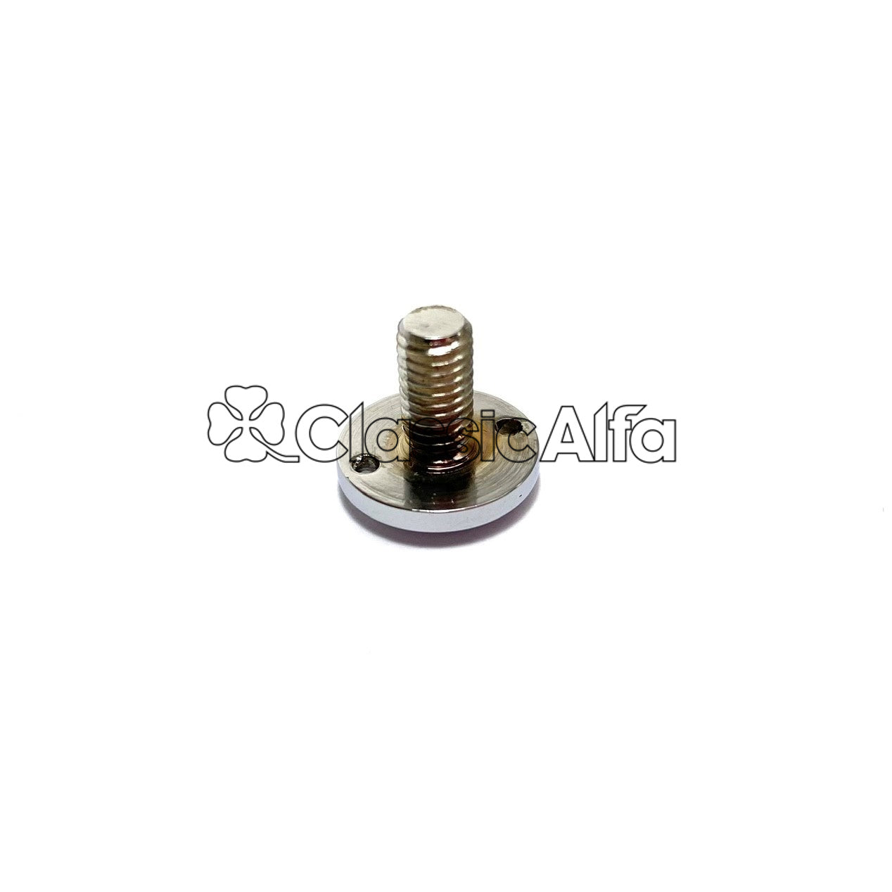 CH132 GT FRONT QUARTERLIGHT HINGE INNER SCREW