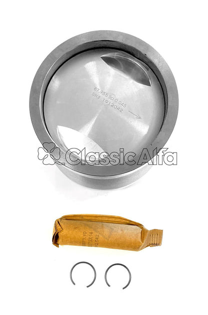 D0003 PISTON AND LINER 2.5 V6