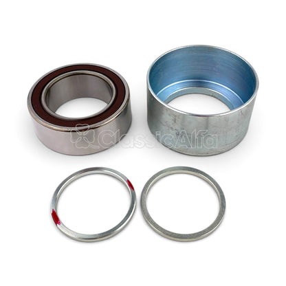 D0017/1 HYDRAULIC TENSIONER BEARING KIT - V6