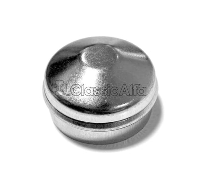 D0254 REAR WHEEL BEARING GREASE CAP 116
