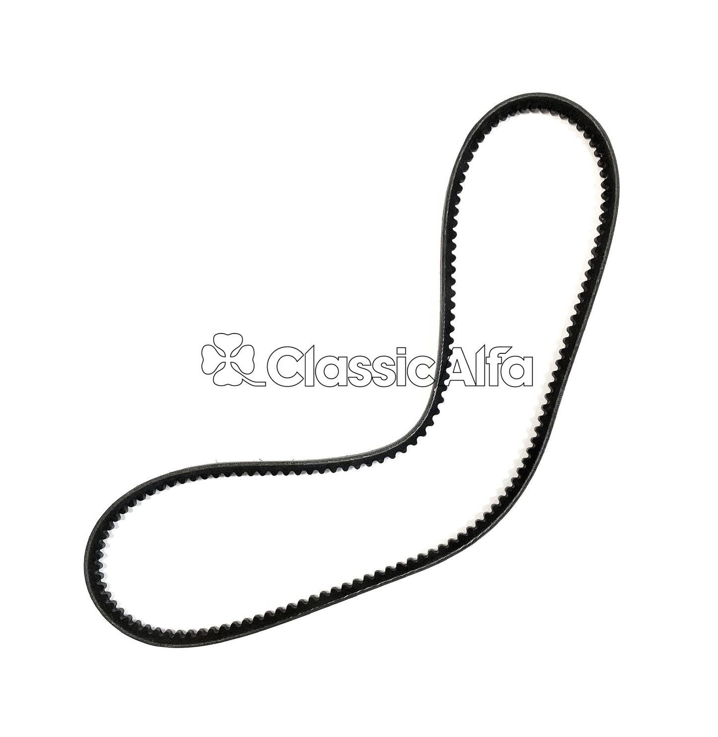 D0279 DRIVE BELT POWER STEERING 75 V6