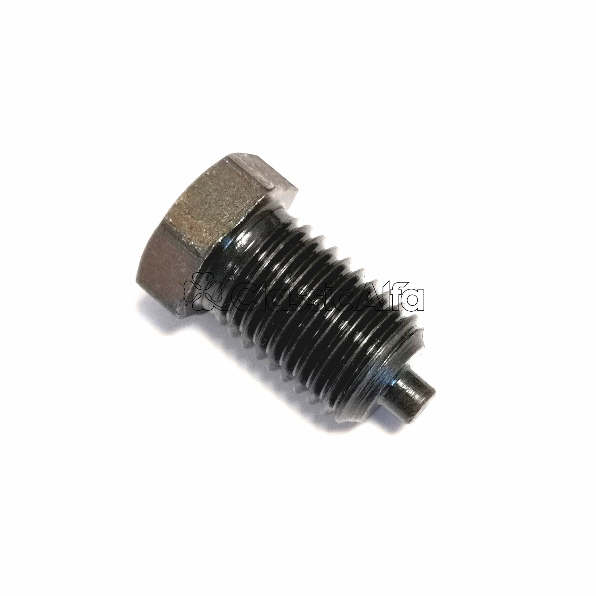 EN096 TIMING CHAIN TENSIONER BOLT
