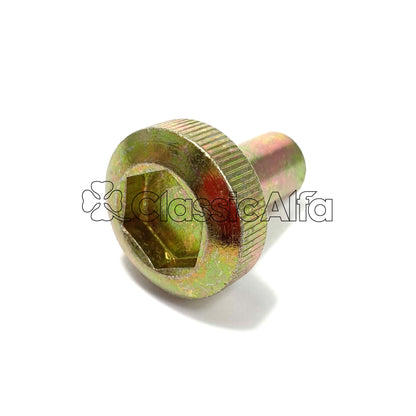 EN177 VALVE COVER HOLD DOWN BOLT - ZINC