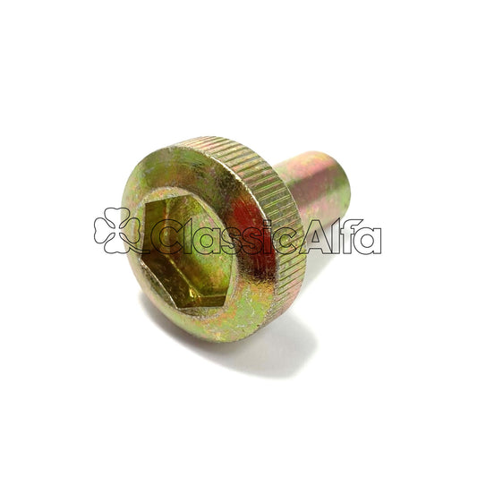 EN177 VALVE COVER HOLD DOWN BOLT - ZINC