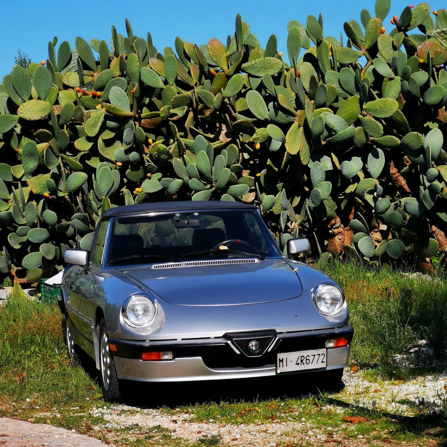 SPIDER SERIES 3 1990 23,000 EUROS