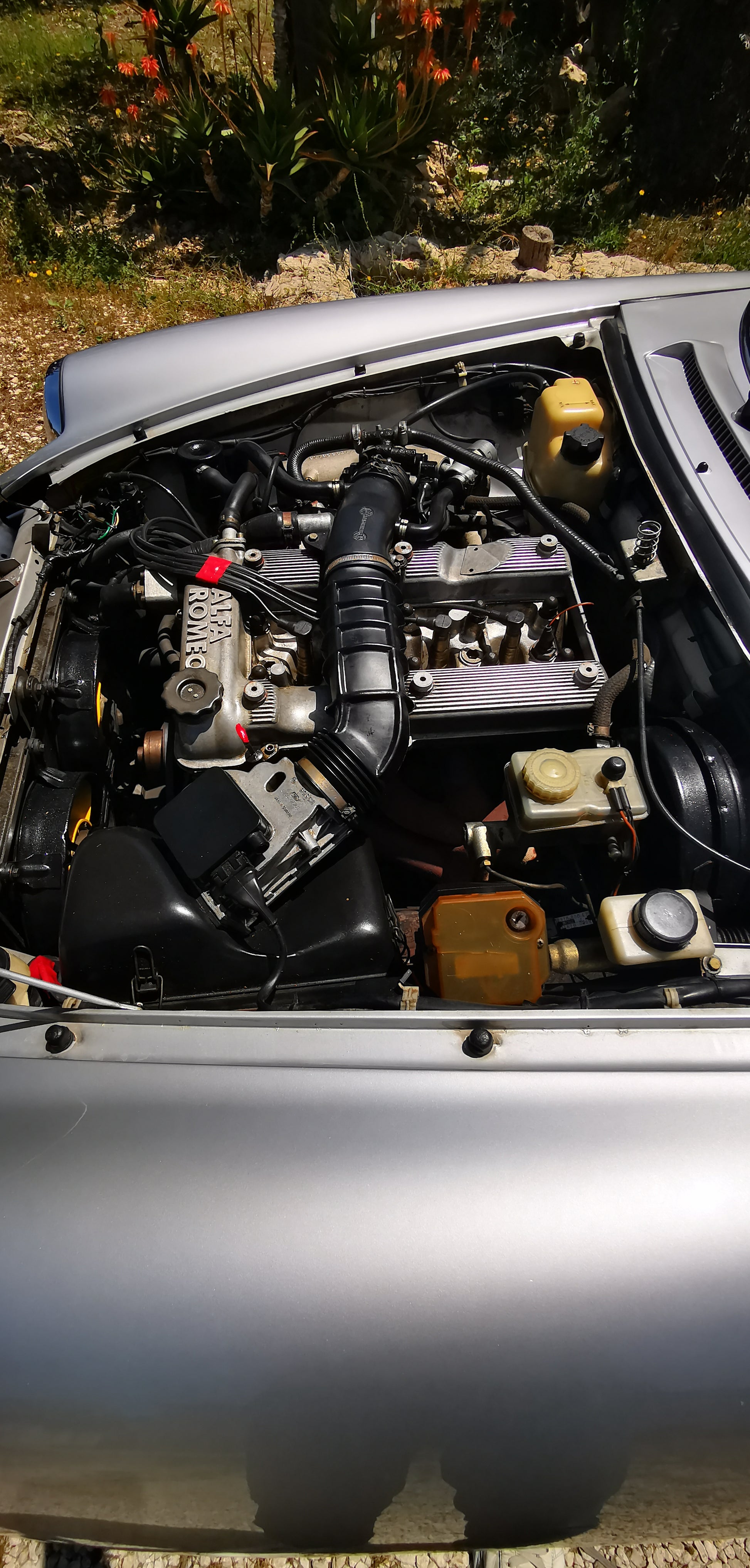 SPIDER SERIES 3 1990 23,000 EUROS