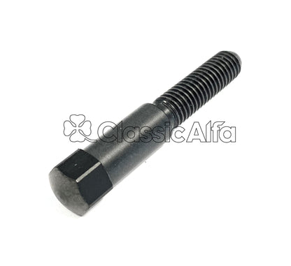 IN173 REAR VIEW MIRROR ANTI-VIBRATION SCREW