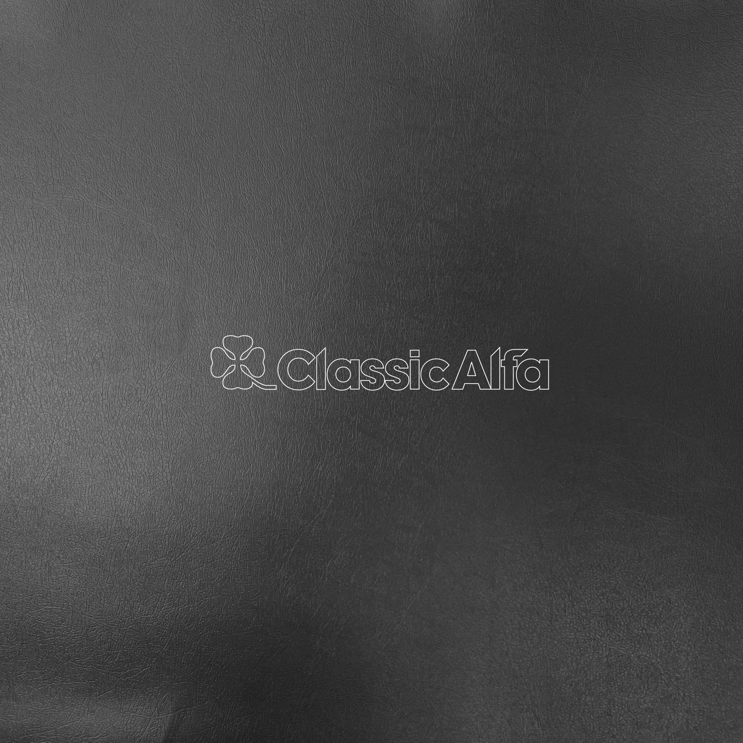 IN305 ALFA GREY VINYL SKAI