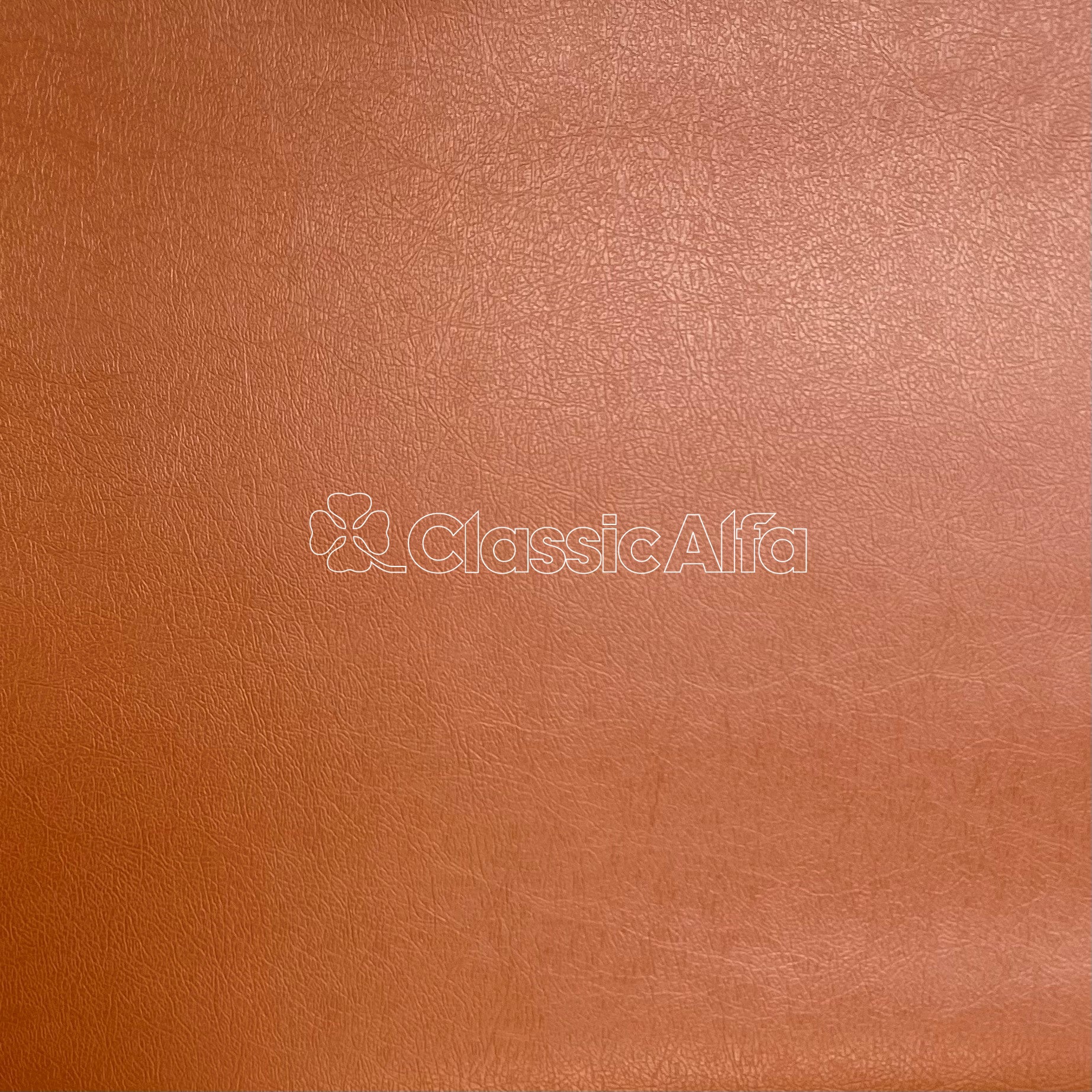 IN306 ALFA OCHRE VINYL SKAI - EARLY