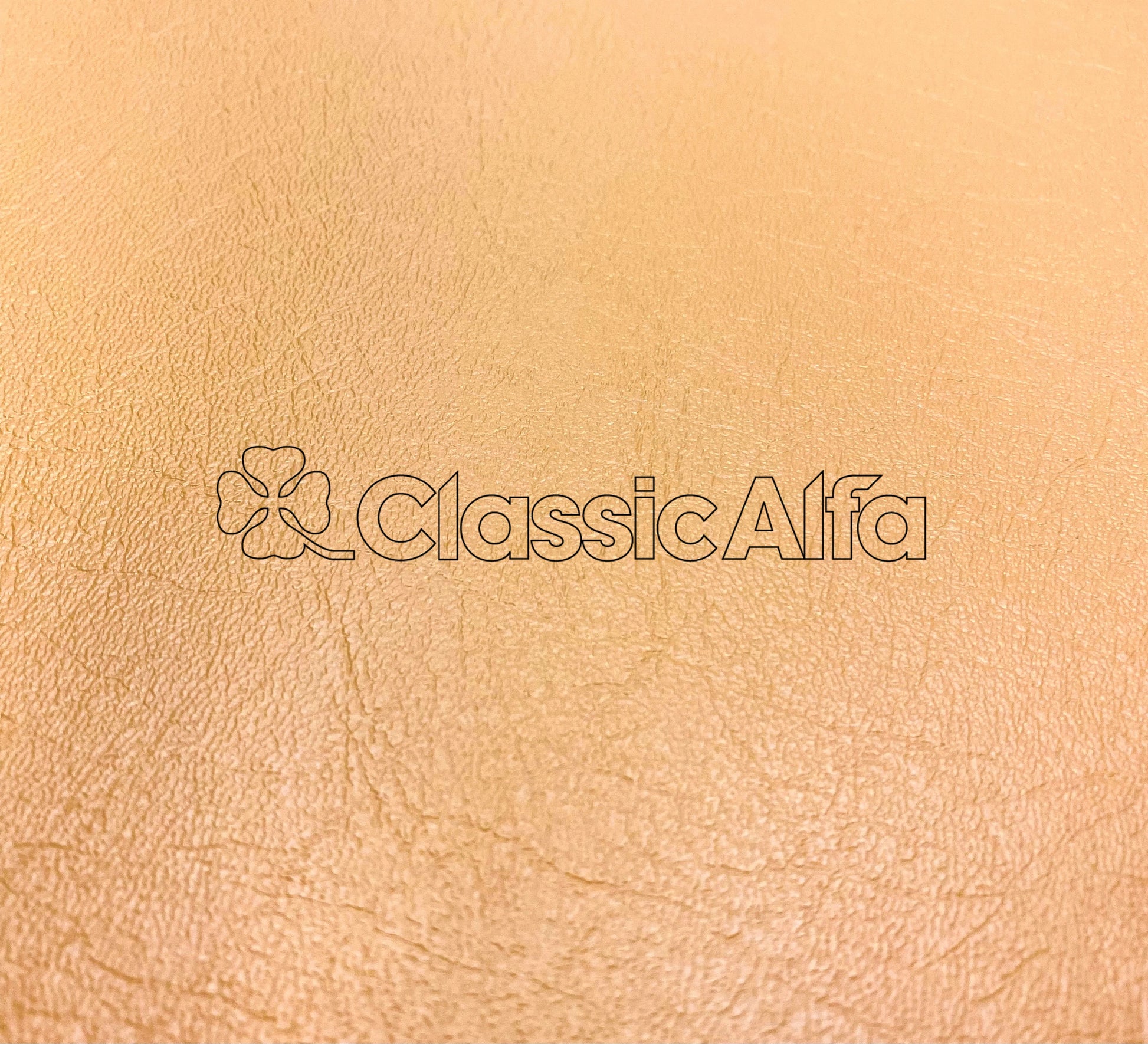 IN310 ALFA TAN VINYL SKAI - SPIDER S4