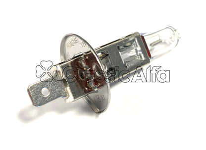 LT080 HALOGEN H1 BULB