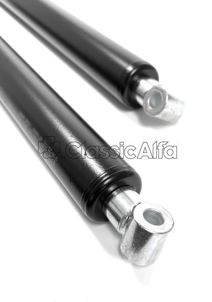MN148 MONTREAL REAR HATCH STRUTS PAIR 