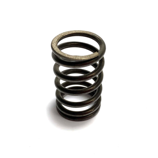 N0293 ORIGINAL OUTER VALVE SPRING 105/115/116 (4CYL)