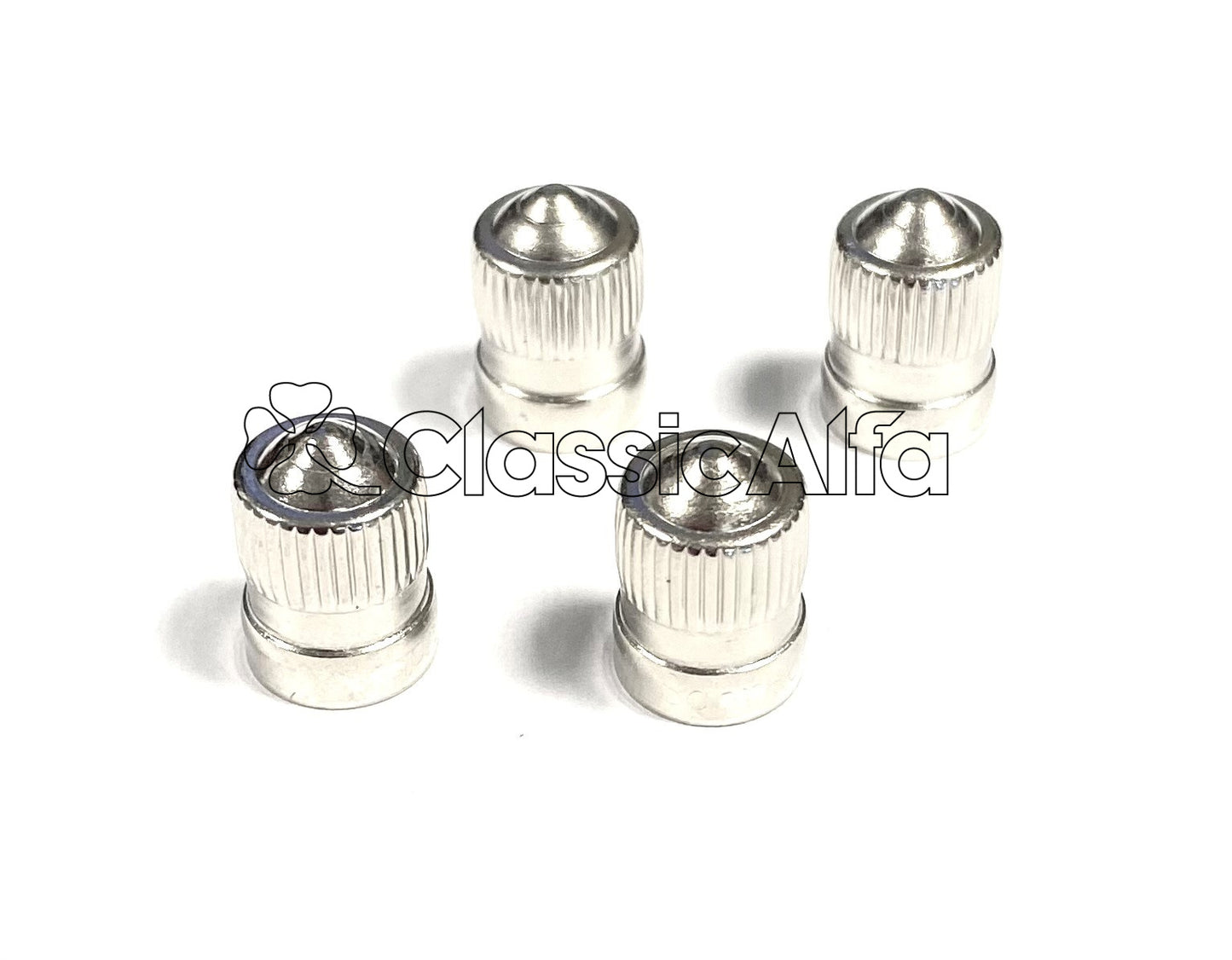 WH110 METAL TYRE VALVE CAPS - SET