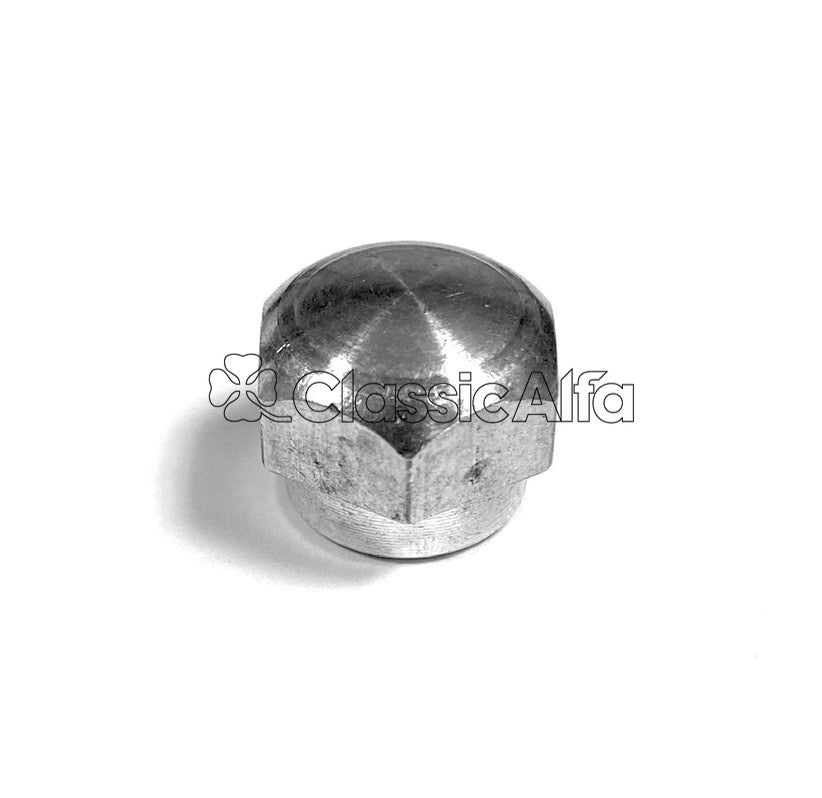 WI012 WIPER ARM DOMED NUT