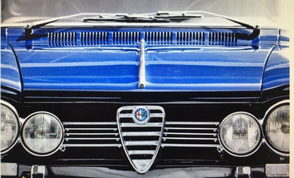 CH102  GIULIA SUPER FRONT BONNET TRIM